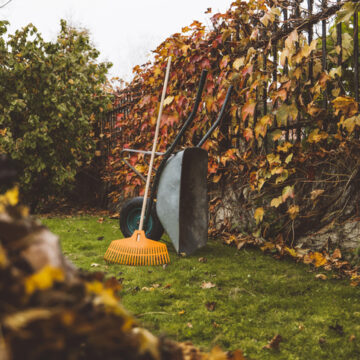 No people: cleaning lawn from leaves with various tools: leaf blower, rake and wheelbarrow. Nature in autumn, chores around the house.